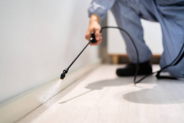 Licensed Pest Control service in Oakdale, PA - Show Me Pest Control