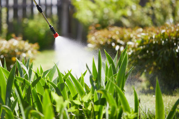 Tamper-Resistant Bait Stations for Rodents in Oakdale