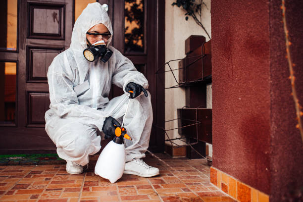Attic and Crawl Space Rodent Treatment in Oakdale
